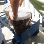 Tubs of meat roll by.