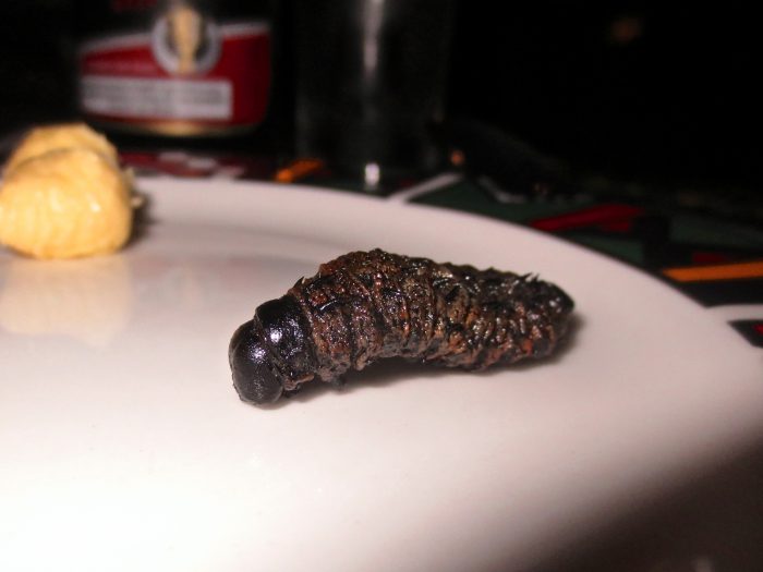 Strange Meats Mopani Worm The Unvegan